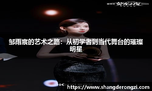 邹雨宸的艺术之路：从初学者到当代舞台的璀璨明星